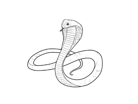 Simple Snake Drawing at GetDrawings | Free download