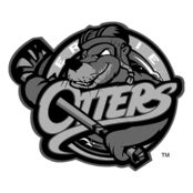 Erie Otters Logo Vector – Brands Logos