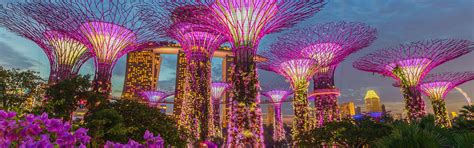 Gardens by the Bay | Singapore Attractions | Big Bus Tours