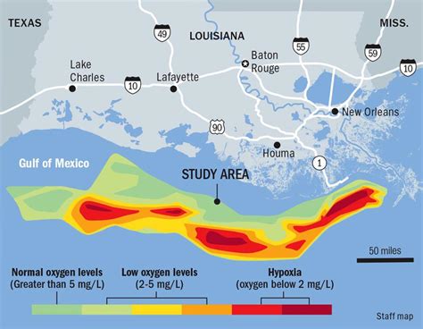 The low-oxygen Gulf 'dead zone' could be three times the size of Rhode ...