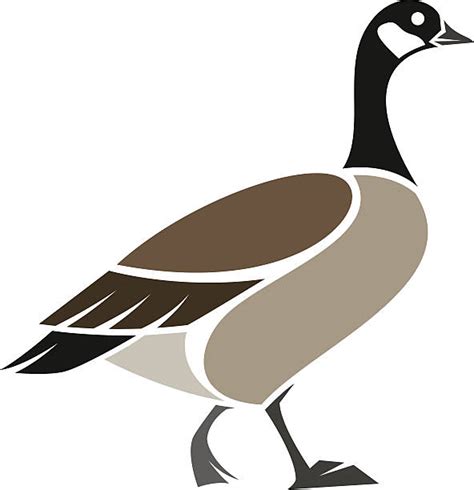 2,600+ Goose Clipart Stock Illustrations, Royalty-Free Vector Graphics ...