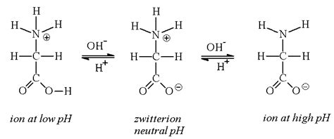 Zwitterion - Alchetron, The Free Social Encyclopedia