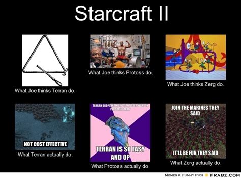 Starcraft Memes