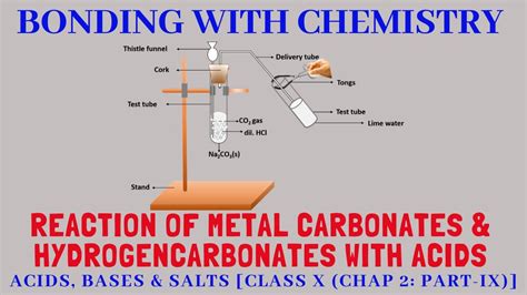 Reaction of Metal carbonates & Hydrogencarbonates with Acids - Class X (Chap 2: Part IX) - YouTube