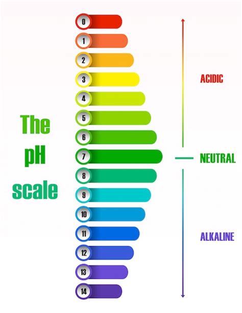 Free Vector | The ph scale diagram