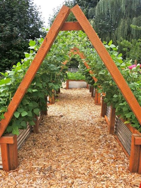 ean and Pea A-frame in corrugated metal raised beds! This type of trellis system w… | Vertical ...