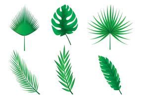 Leaf Vector Art, Icons, and Graphics for Free Download