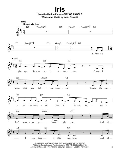 Iris by Goo Goo Dolls Sheet Music for Pro Vocal at Sheet Music Direct