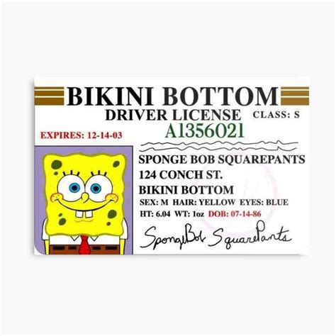 Spongebob Bikini Bottom Driver's License Metal Print by Aaronvalentinus | Spongebob, Spongebob ...