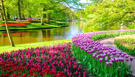 Keukenhof: o jardim de tulipas mais bonito da Holanda - Vou na Janela