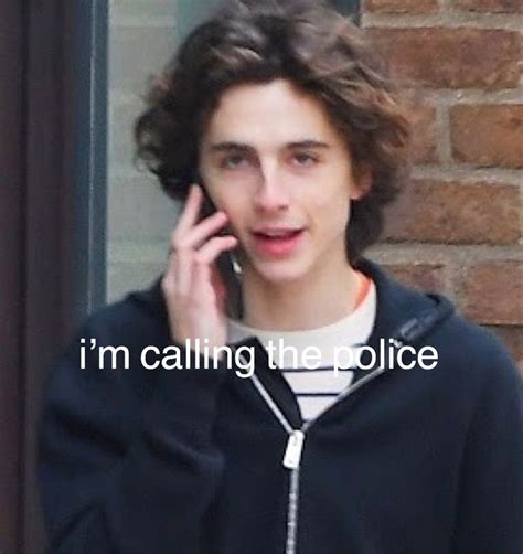 Timothée chalamet meme/reaction pic | Timothee memes, Timothee meme ...