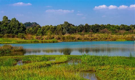 Hong Kong Wetland Park Travel: Entrance Tickets, Travel Tips, Photos and Maps – China Travel ...