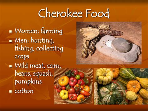 What Type Of Food Did The Cherokee Tribe Eat | Deporecipe.co