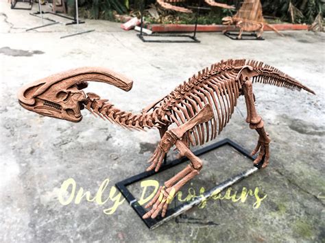 Complete Dinosaur Fossils Parasaurolophus | Only Dinosaurs