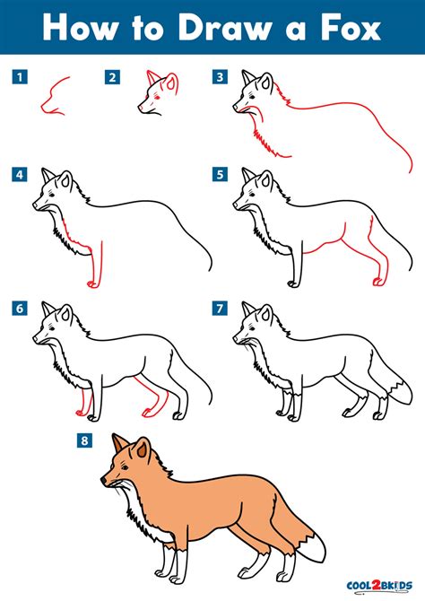 How to Draw a Fox - Cool2bKids