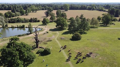 Drone Aerial at Langley Park