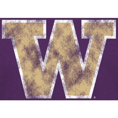 Youth Purple Washington Huskies Classic Primary T-Shirt | University of ...