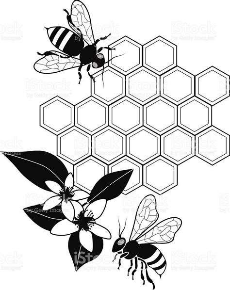 copyright free images of vintage bee art - Google Search | Honey bee drawing, Bee illustration ...