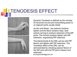 extensor tendons injury and deformity | PPT