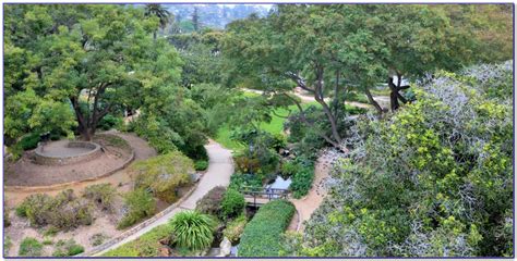 Santa Barbara Botanic Garden Coupon - Garden : Home Design Ideas # ...