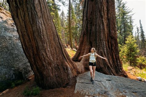 10 Best Day Hikes In Sequoia National Park