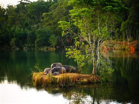 Swaziland. A voyage to Kingdom of Swaziland ( Umbuso weSwatini ), Africa - Mbabane, Manzini ...