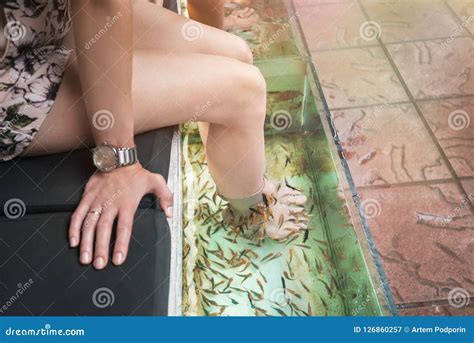 Fish spa Garra Rufa stock image. Image of peeling, natural - 126860257