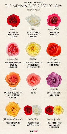 The Meaning of Roses: Symbolism of Rose Colour | Best Blooms Florist