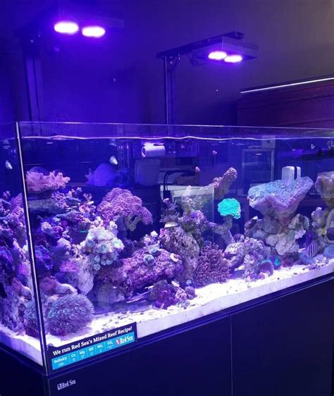 What Is The Best Saltwater Aquarium Filter - Aquarium Views