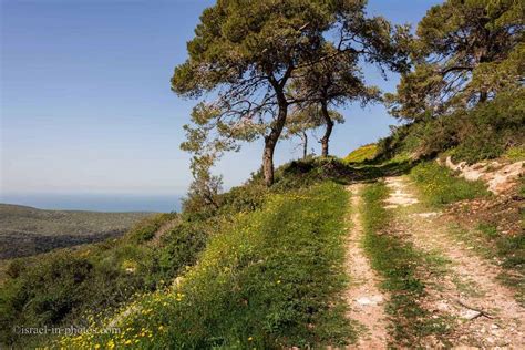 Easy Family Hike on Carmel Mountain - Visitors Guide