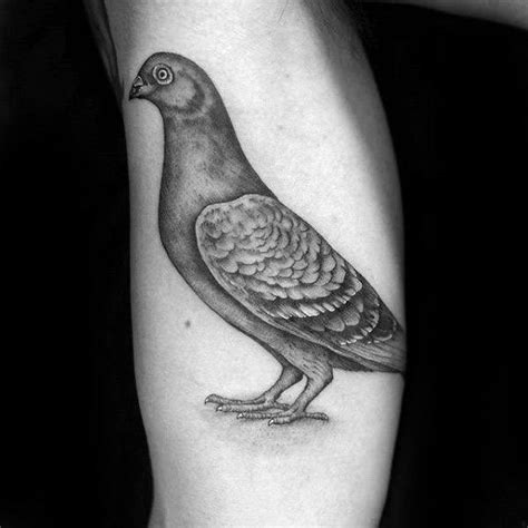 50 Pigeon Tattoo Designs For Men - Bird Ink Ideas