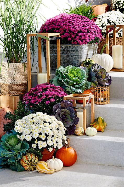 17 Ideas for Decorating with Fall Mums Outdoors