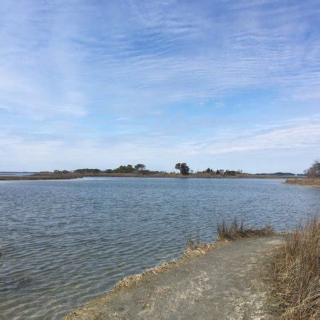 Assateague Beach (Assateague Island) - All You Need to Know Before You Go - UPDATED 2018 ...