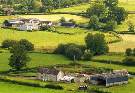 People who live in small towns and rural areas are happier than everyone else, researchers say ...