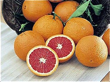 Sunburst Oranges: Sunburst Oranges Has Cara Cara Navel Oranges