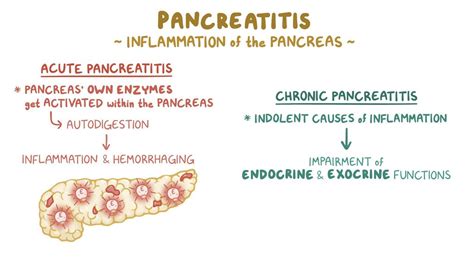 Pancreatitis: Clinical: Video, Anatomy & Definition | Osmosis