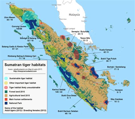 The Sumatran Tiger In 2020