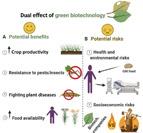 Environmental Biotechnology Examples