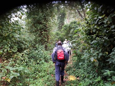 Mount Bisoke Volcano Hike and Bisoke Crater Lake Rwanda