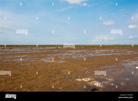 Southport Beach during low tide. Sunny weather Stock Photo - Alamy