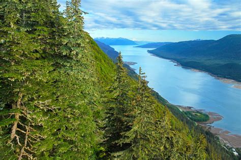 Tongass National Forest