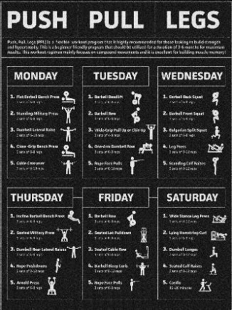 Free, Custom Printable Workout Planner Templates Online, 56% OFF