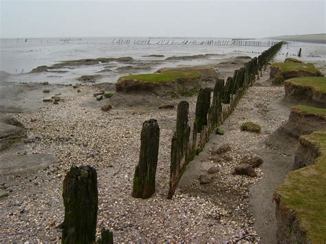 Wadden Sea Free Photo Download | FreeImages