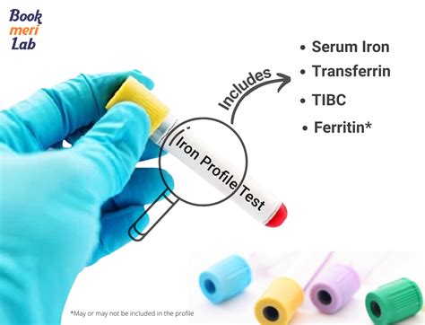 Iron profile test: Price, Purpose, Test List, Normal Range & Results [2022]