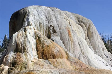 Yellowstone Upper Loop Tours from Jackson Hole