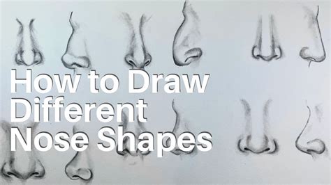 Different Nose Shapes Types