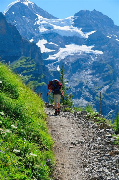 Hiking Trail | Camping and hiking, Hiking trails, Outdoors adventure