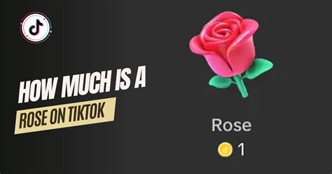 Gift Your Favorit Creator: How Much Is a Rose on TikTok | Download ...