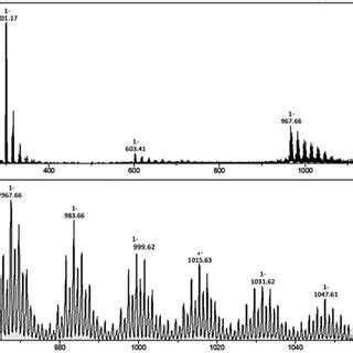 EDS spectra of Na-abietate and Zn-abietate. | Download Scientific Diagram