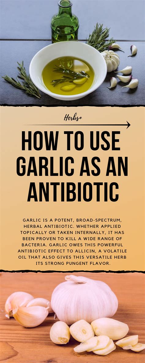 How To Use Garlic As An Antibiotic in 2020 | Herbalism, Natural healing remedies, Natural remedies